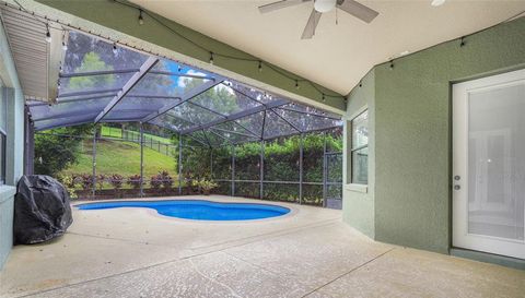 16846 FLORENCE VIEW DRIVE