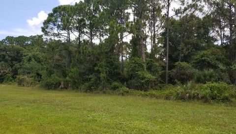 Tamiami