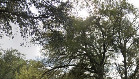 1766 Markham Glen Cir Longwood Fl 32779