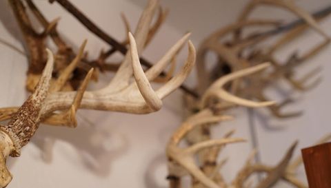 25065 Rock Springs Hollow Rd