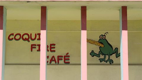 17 Calle Carlos Lebrun