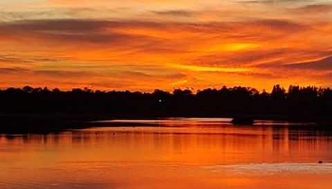 6100 Sw Pentalago Pl