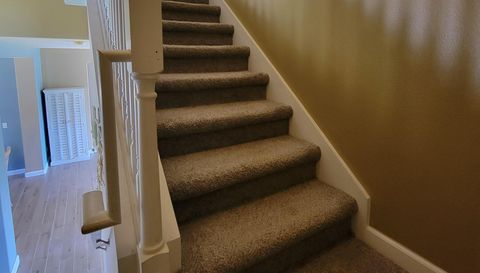 3145 Twisted Oak Loop