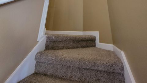 3145 Twisted Oak Loop