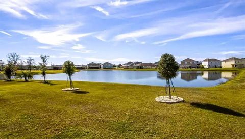 31000 SUMMER SUN LOOP