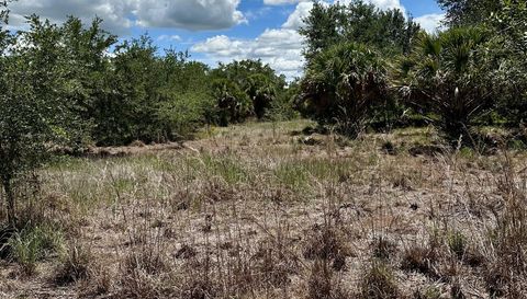 1701 Cabbage Wood Rd Okeechobee