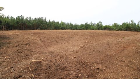6147 Belfield Rd Lot 3