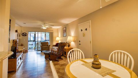 752 White Pine Tree
