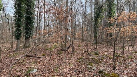 0 Lower Dixie Lake Rd