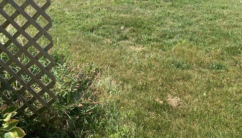 2428 Rolling Hill Dr