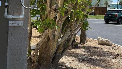 19451 GULF BOULEVARD