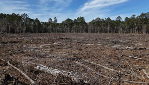 6879 Haynes Lennon Hwy