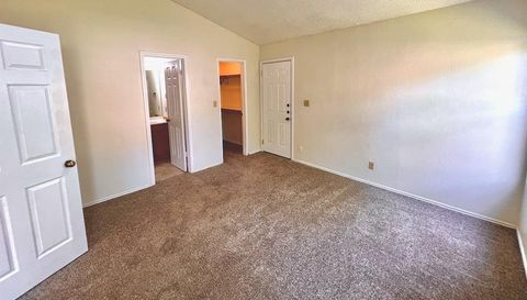 367 Fantail LOOP