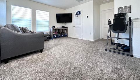 1562 SOFTSHELL STREET