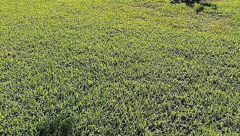 12459 Muddy Creek Ln