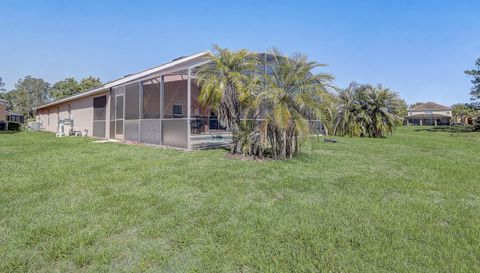 927 Orange Cosmos Blvd