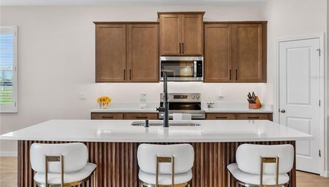 32516 OSPREY PEAK WAY