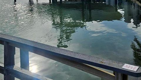 179 MEDALLION BOULEVARD