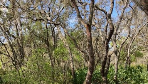 00 Scenic Lake Drive