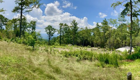 99999 Mountain Grove Ln.