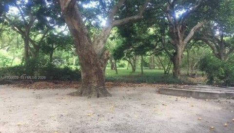 Roatan Island At Caribbean, Honduras