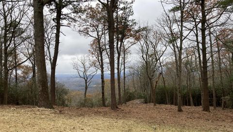 99999 Mountain Grove Ln.