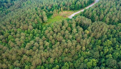 0 Reece Mountain Road Ellijay Ga 30540