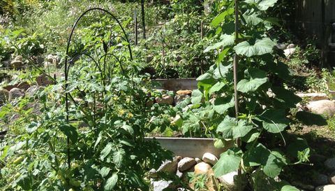 5833 Creek Valley Rd