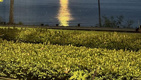 15221 Via De Las Olas