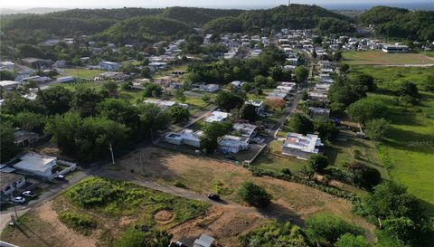 Tierras Nuevas Salientes Wd.