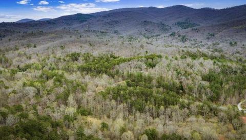 10042 Doublehead Gap Rd