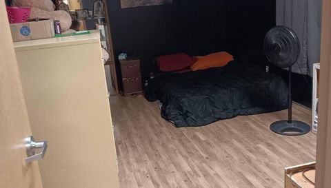 80880 County Road 46