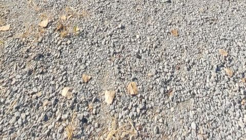 15772 East 1000th Avenue