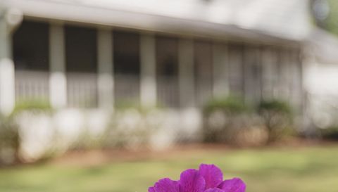 314 Lamplighter Ln SE