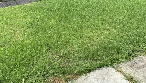 7480 Theodore Dawes Rd