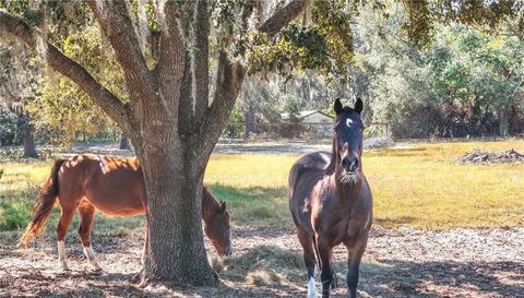 41025 Thomas Boat Landing ROAD