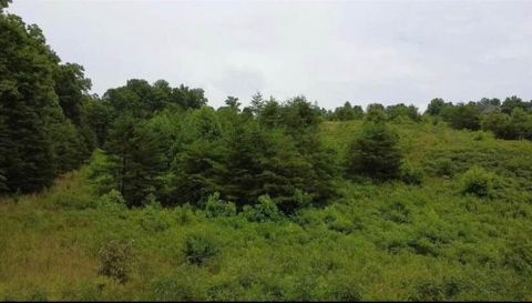 1034 Table View Drive