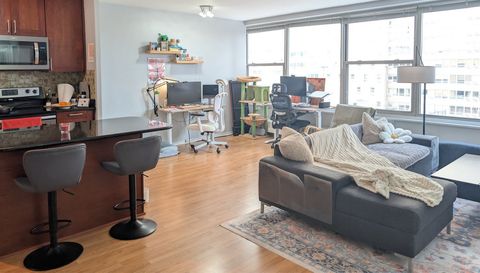 3900 N Lake Shore Drive