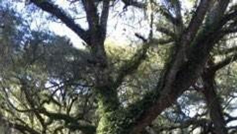 4031 Old Floral City