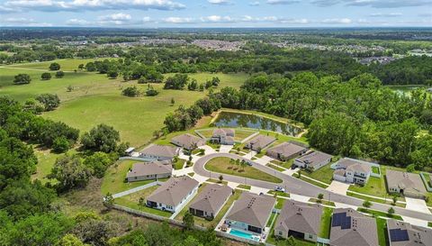 35977 MORSE WILLOW COURT