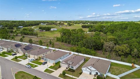 35977 MORSE WILLOW COURT