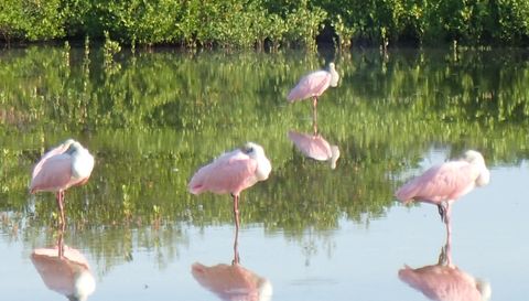 21420 Bay Village Dr Unit 216