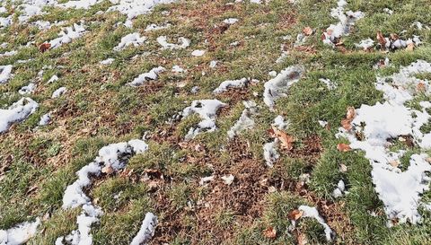 4318 E Cricket Knoll