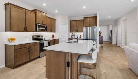 32516 OSPREY PEAK WAY