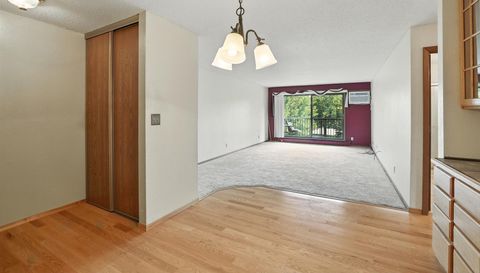 4 Pine Tree Drive