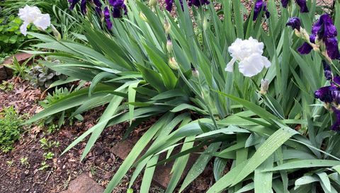 49 Sheridan Avenue S