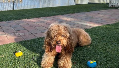 3500 Mystic Pointe Dr