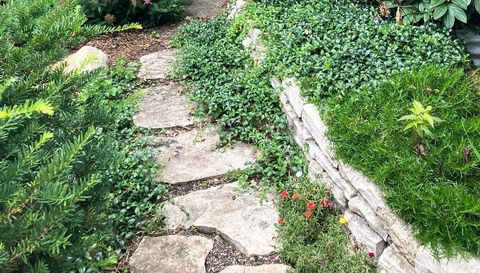 49 Sheridan Avenue S