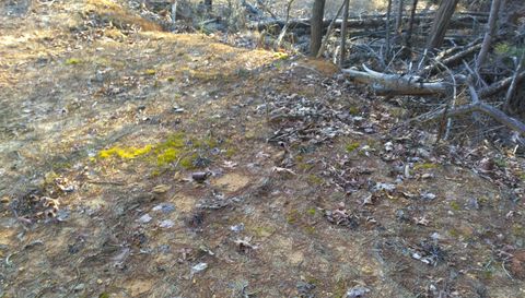 371 Pressmens Home Rd