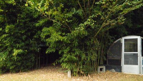 302 Mountain Gap Rd SE